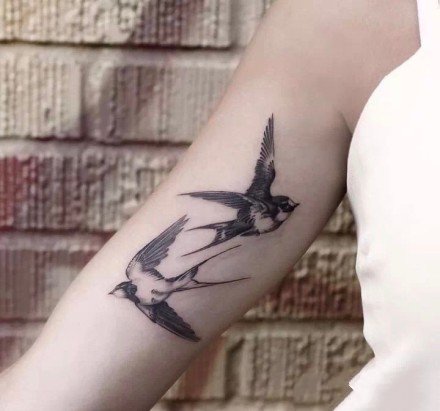 好看的一组简约燕子纹身图片