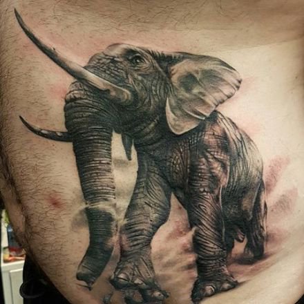霸气的大象纹身图案9张
