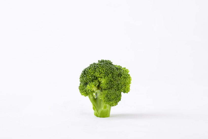 绿色营养西兰花图片(10张)