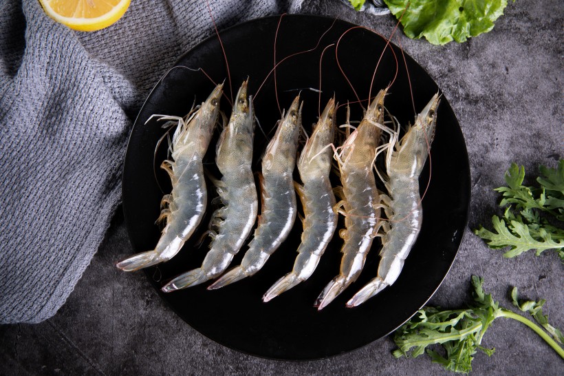 美味新鲜的基围虾图片(17张)