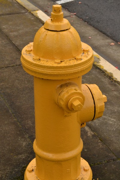 路面上的消防栓图片(14张)