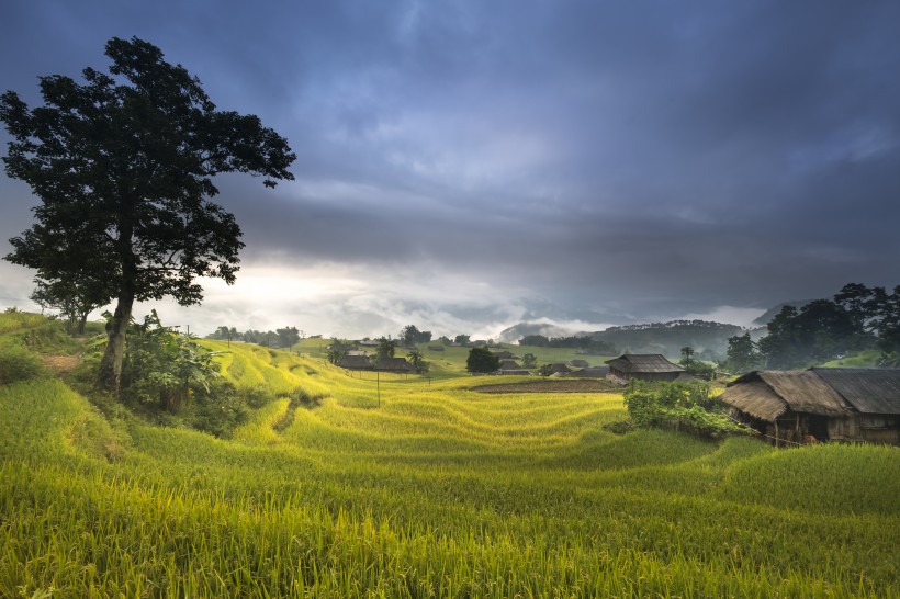 秋季乡村梯田风景图片(11张)