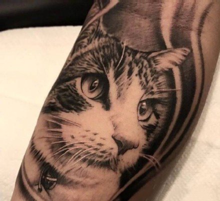 关于猫咪的九张纹身作品图片