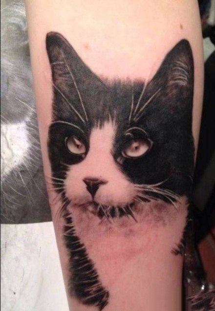 关于猫咪的九张纹身作品图片