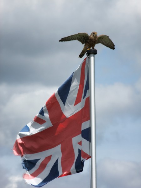 英国国旗高清图片(14张)