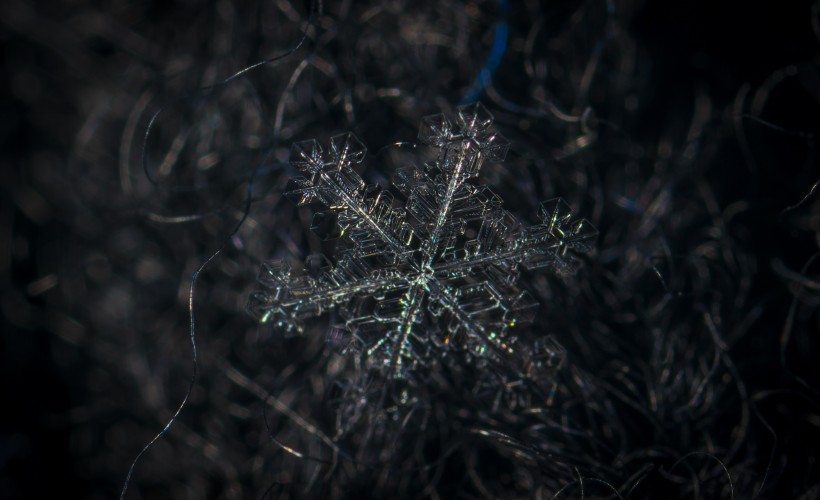 显微镜拍摄的雪花图片(13张)