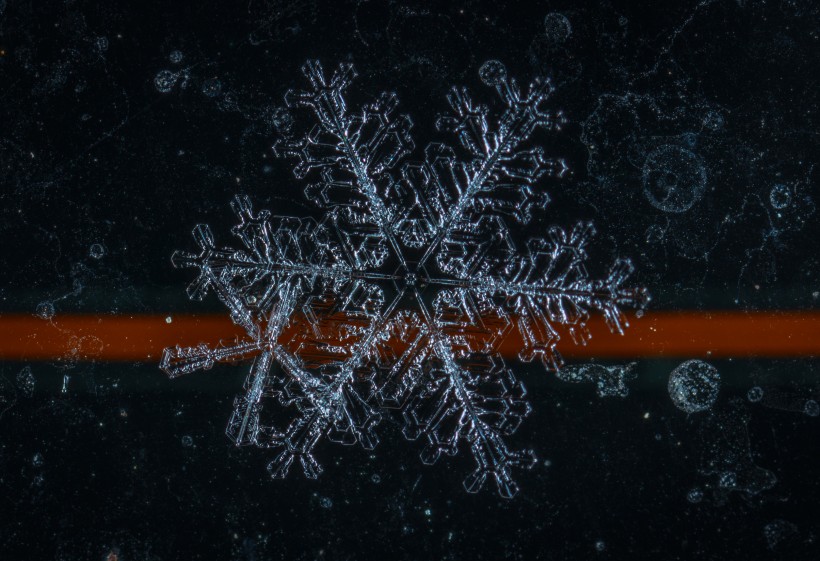 显微镜拍摄的雪花图片(13张)