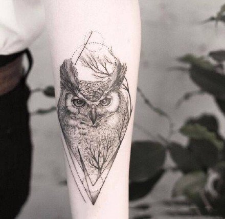 一组黑灰风格猫头鹰纹身图片