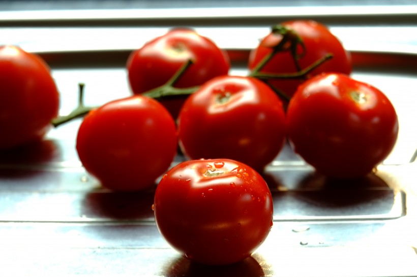鲜红的西红柿图片(13张)