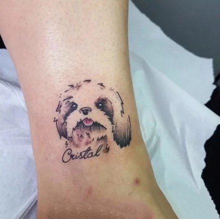 很可爱的宠物小狗狗纹身图片