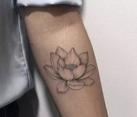 莲花主题的一组好看荷花纹身作品