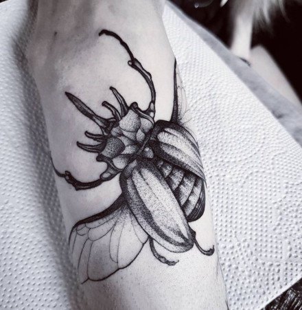 一组昆虫甲虫的纹身图案欣赏