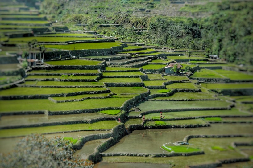 层叠的乡村梯田风景图片(11张)