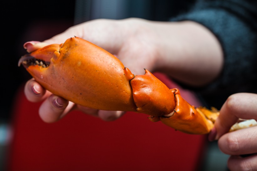 美味海鲜大餐图片(14张)