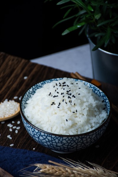 珍珠大米和米饭图片(11张)