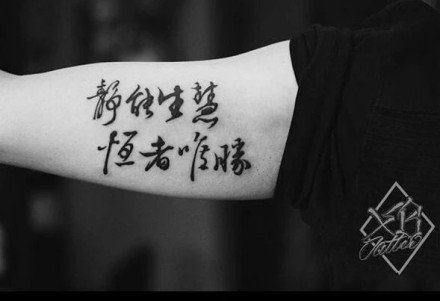 一组中国风的书法字体纹身作品