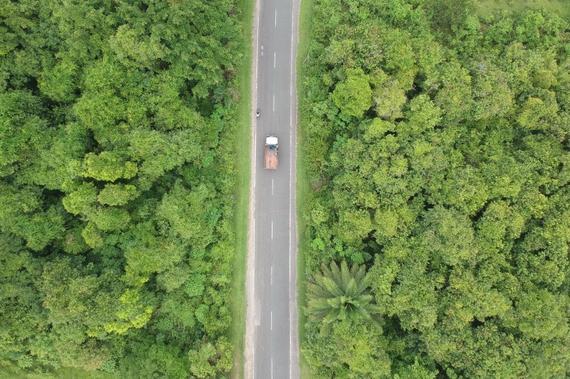 树林里的公路图片(13张)