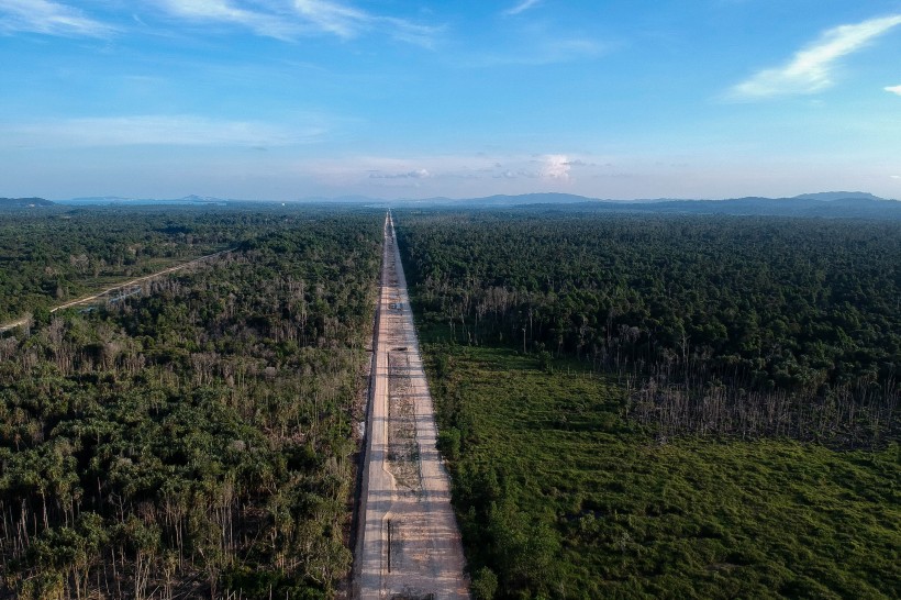 树林里的公路图片(13张)