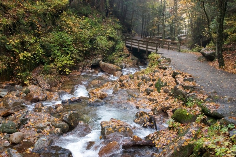 森林小溪山间流水图片(12张)