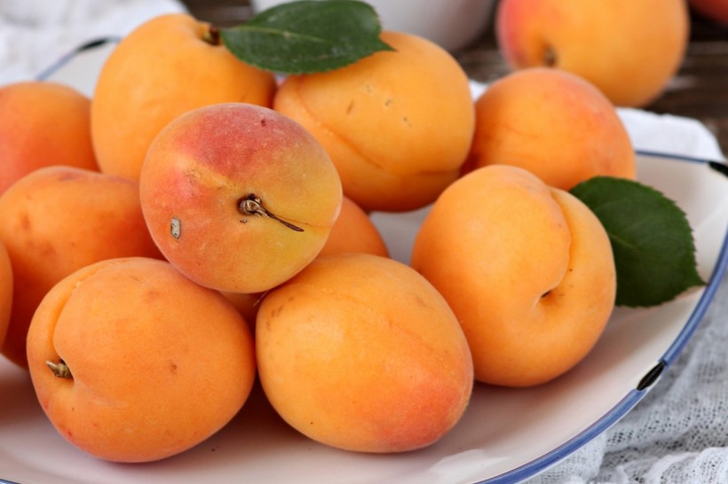 夏季成熟的杏子图片(9张)