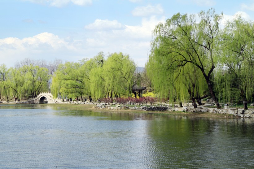 北京圆明园遗址公园图片(10张)