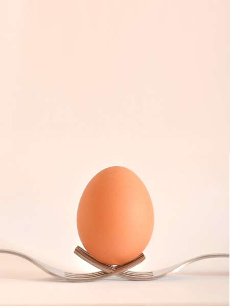 光滑的鸡蛋图片(9张)