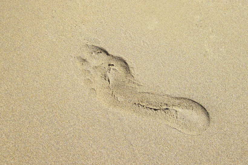 沙滩上的脚印图片(14张)