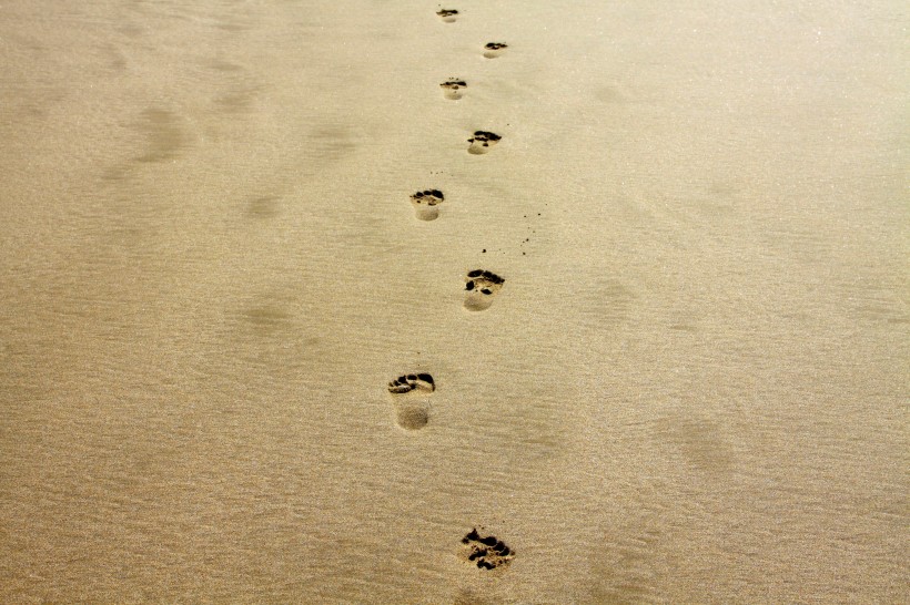 沙滩上的脚印图片(14张)