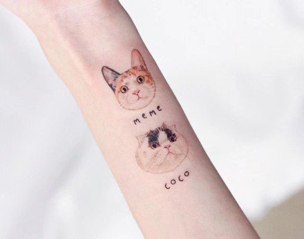 很可爱的一组萌宠小猫咪的纹身图片