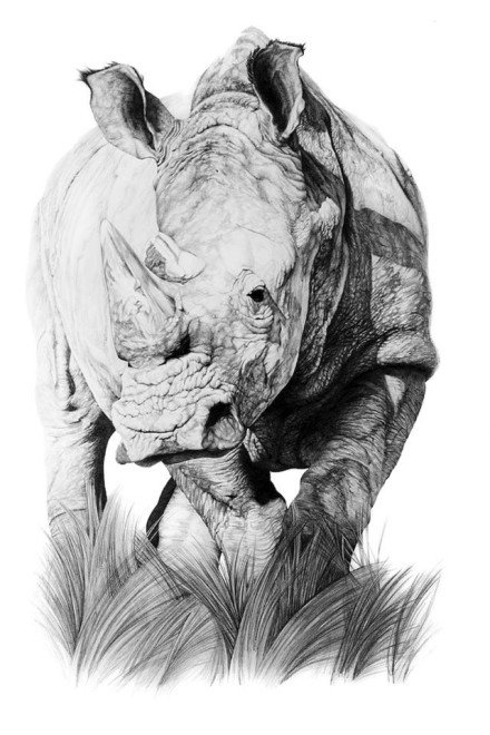 一组寓意强壮的犀牛纹身图案
