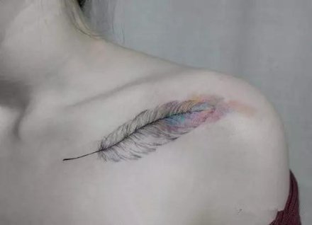 飘逸轻灵的一组羽毛纹身作品图片