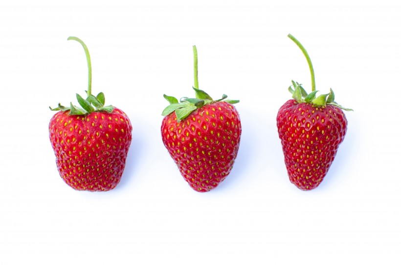 鲜艳的草莓图片(10张)