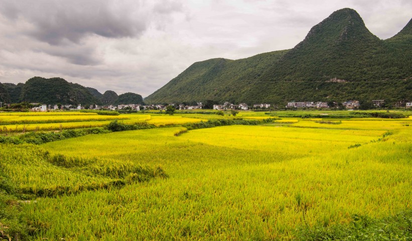 贵州万峰林自然风景图片(18张)