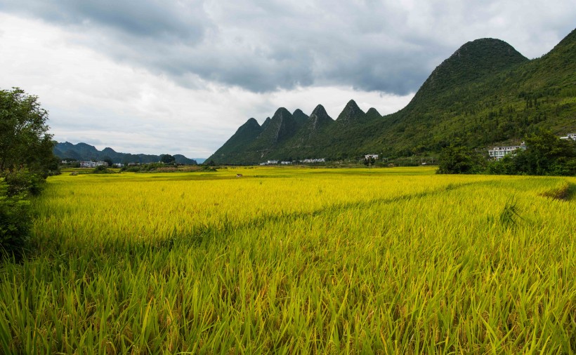 贵州万峰林自然风景图片(18张)