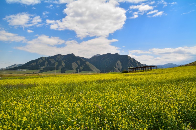 新疆乌鲁木齐南山雪岭鹰沟自然风景图片(13张)