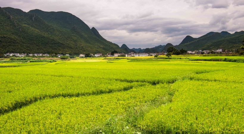 贵州万峰林自然风景图片(18张)