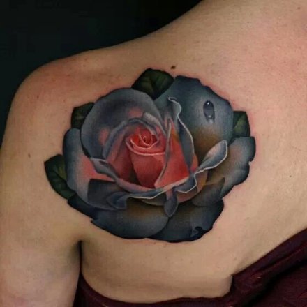 9张写实3D风格的玫瑰花朵纹身图案