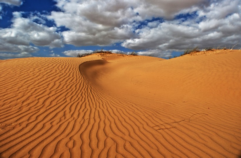 干旱的沙漠图片(12张)