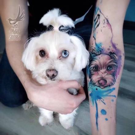 蓝色水彩风格的宠物纹身图案