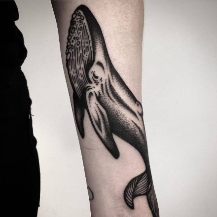手臂上好看的小鲸鱼纹身图片欣赏