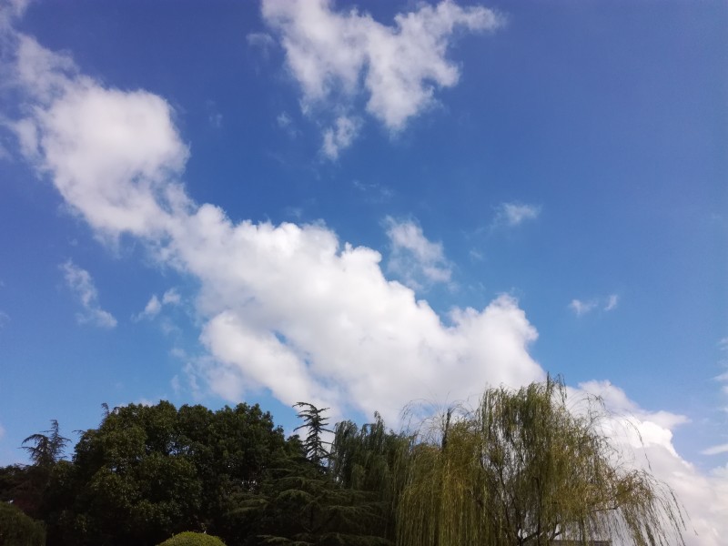 晴空白云图片(11张)