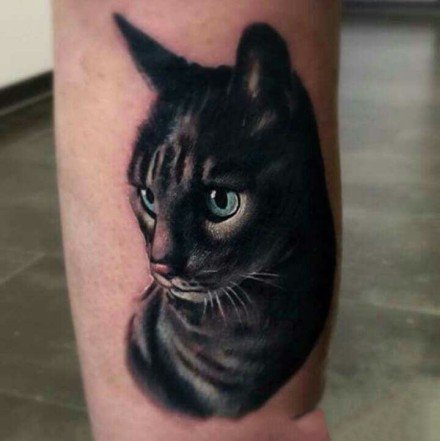 猫主题的一组9张猫纹身图案