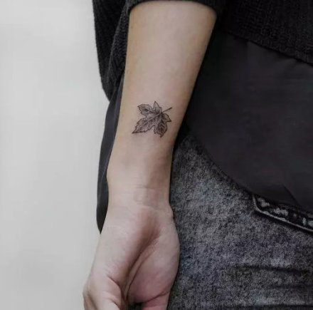 精致的一组漂亮枫叶纹身图片