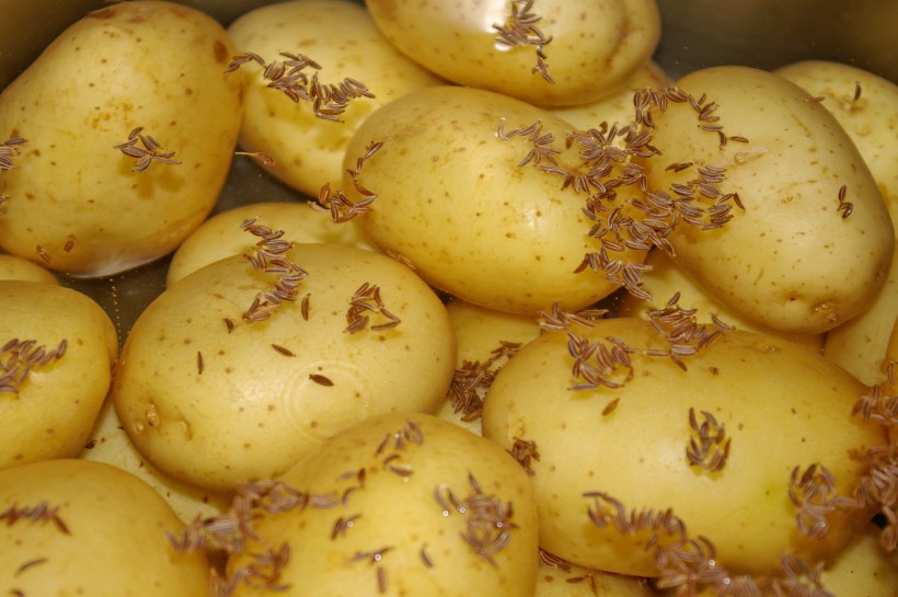 成堆的新鲜土豆图片(16张)