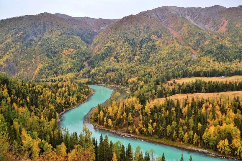 新疆喀纳斯迷人的秋季自然风景图片(9张)