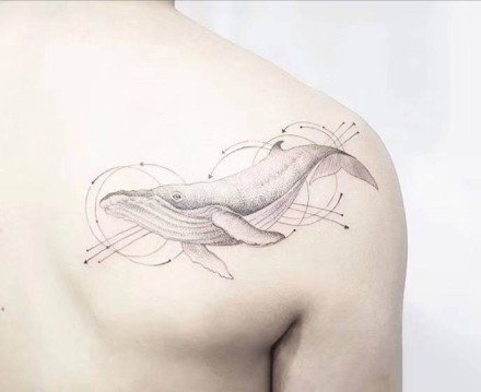 小清新的9张鲸鱼纹身图片