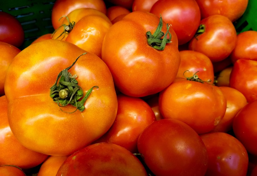 新鲜美味的番茄图片(10张)
