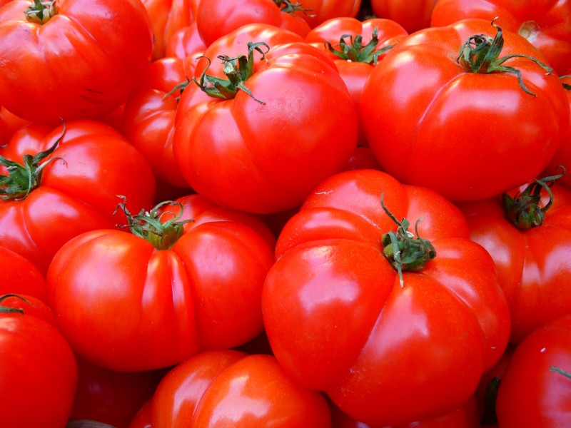 新鲜美味的番茄图片(10张)
