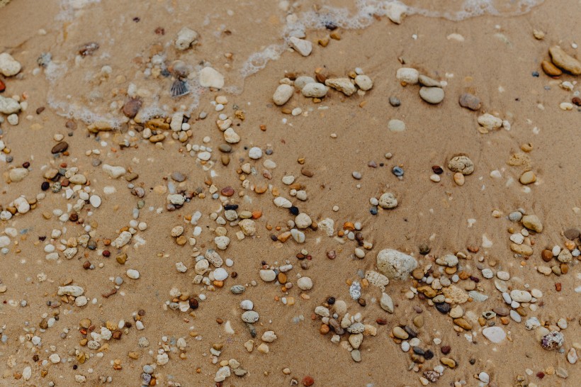 沙滩贝壳和小石子的图片(10张)