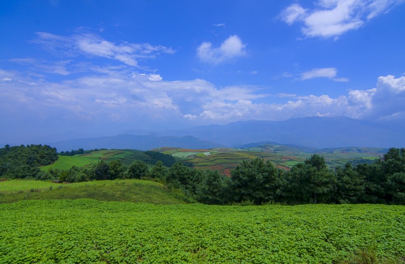 云南东川红土地自然风景图片(9张)